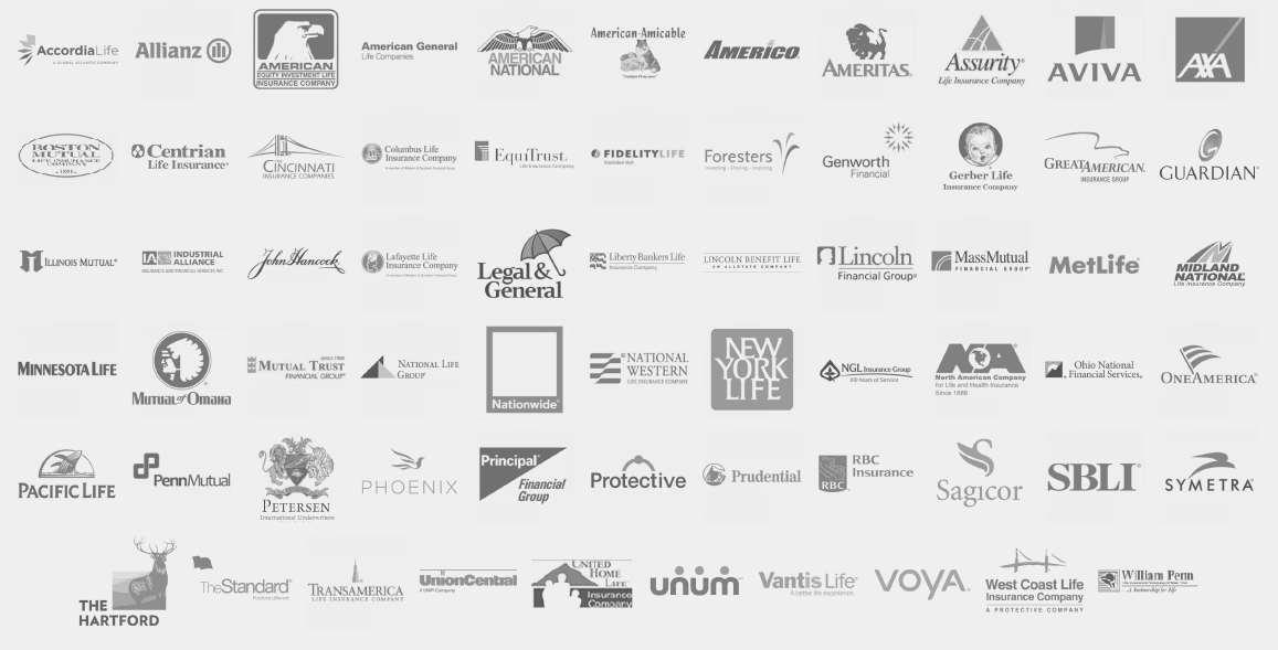 Companies We Represent